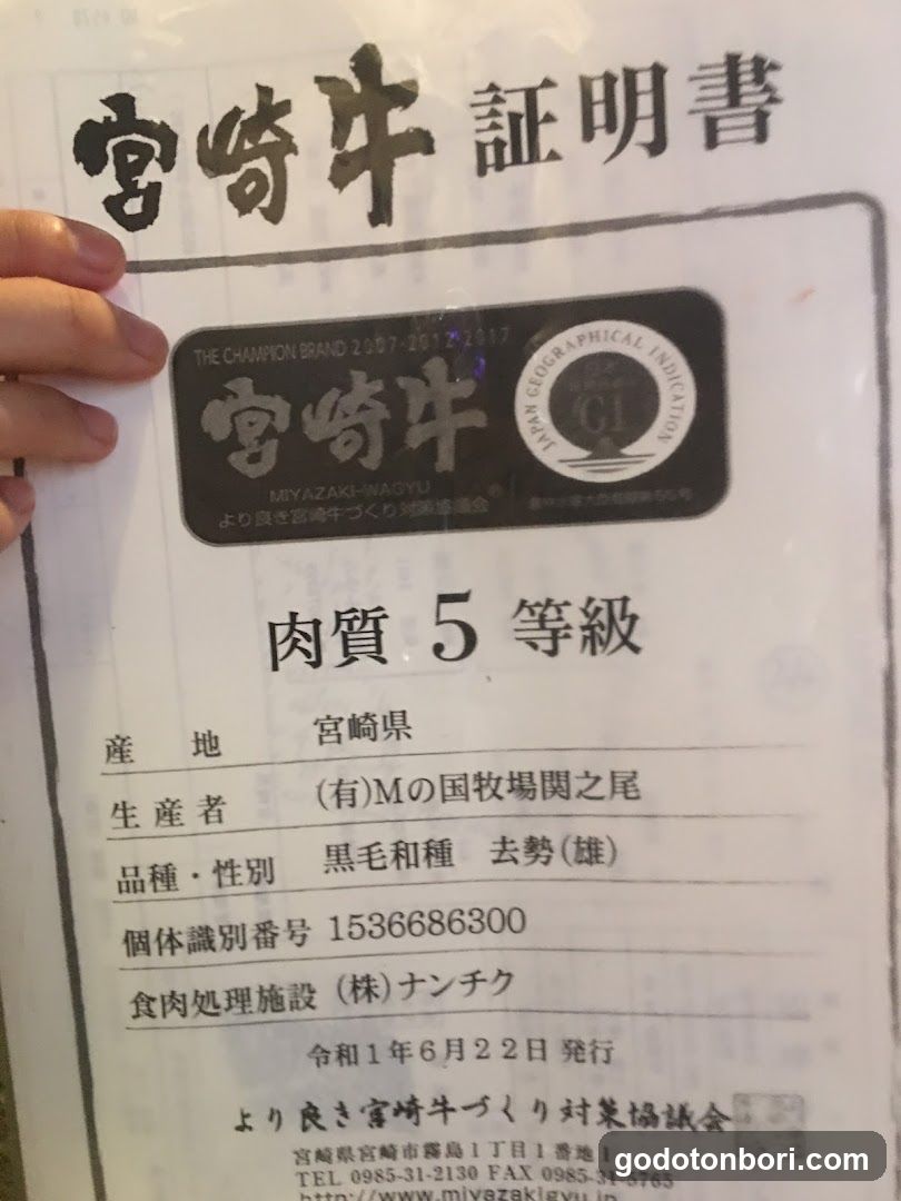 Teppan Toyoshimake