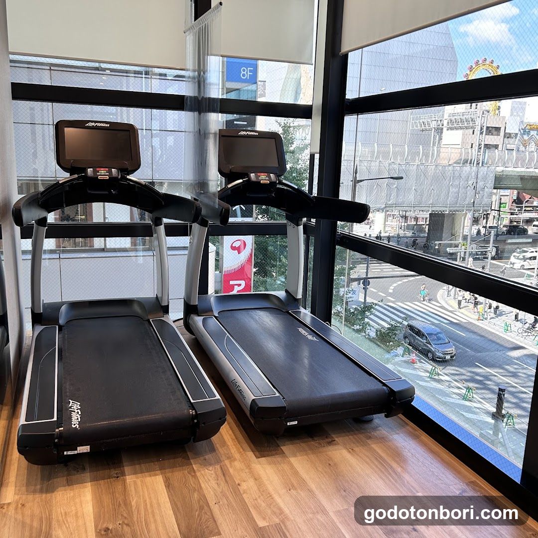 Treadmills in a gym with city view