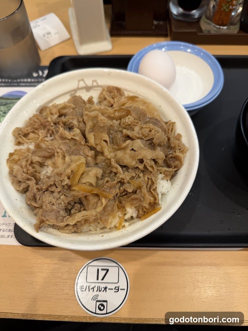 Bowl of Beef Rice with Egg