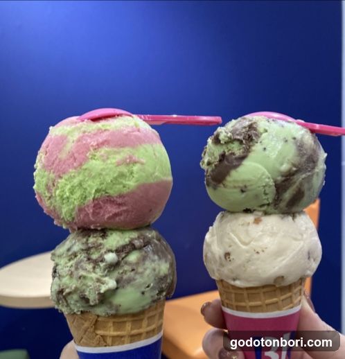 Baskin Robbins Sennichimae