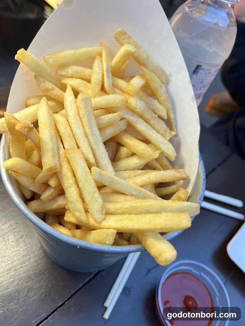 French Fries with Ketchup