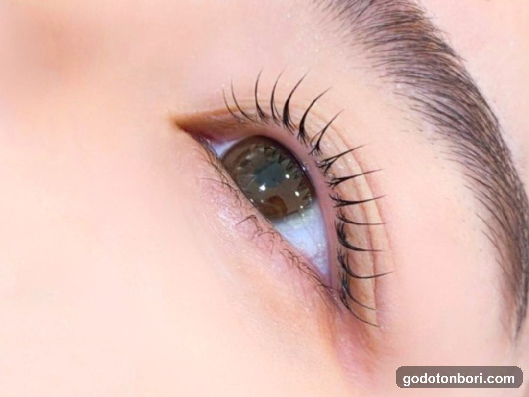 Close-up of a human eye with detailed lashes and iris
