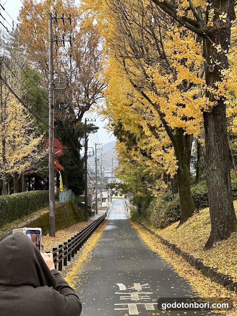 観光バス乗降場