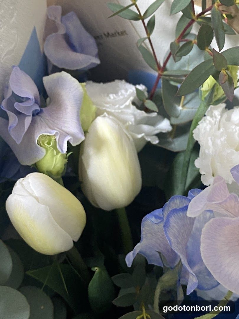 Aoyama Flower Market