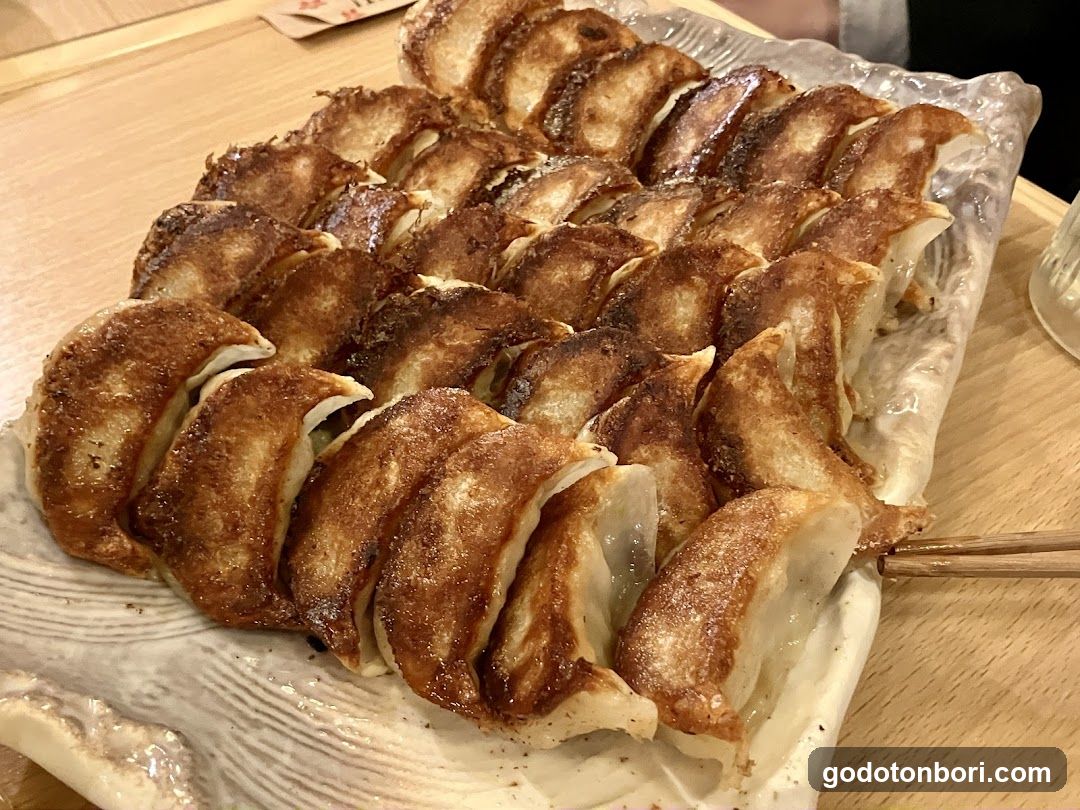 Gyoza Platter