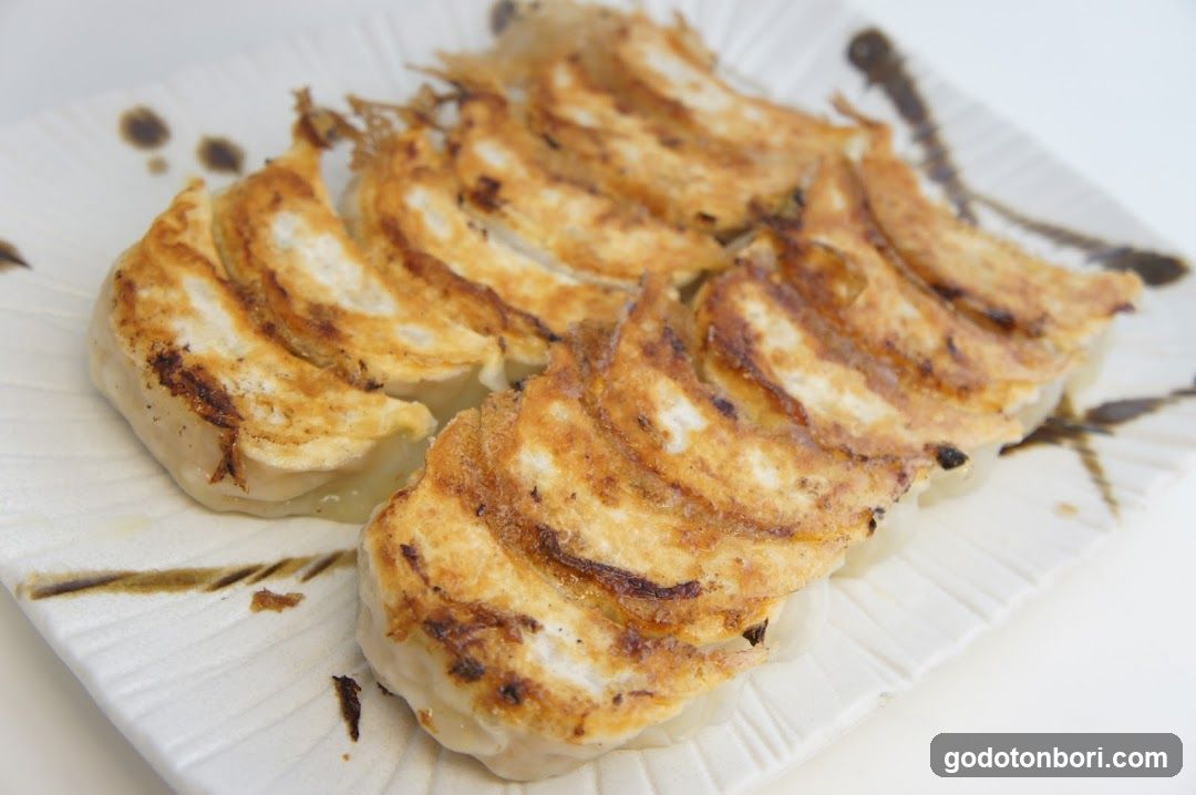Gyoza on a plate