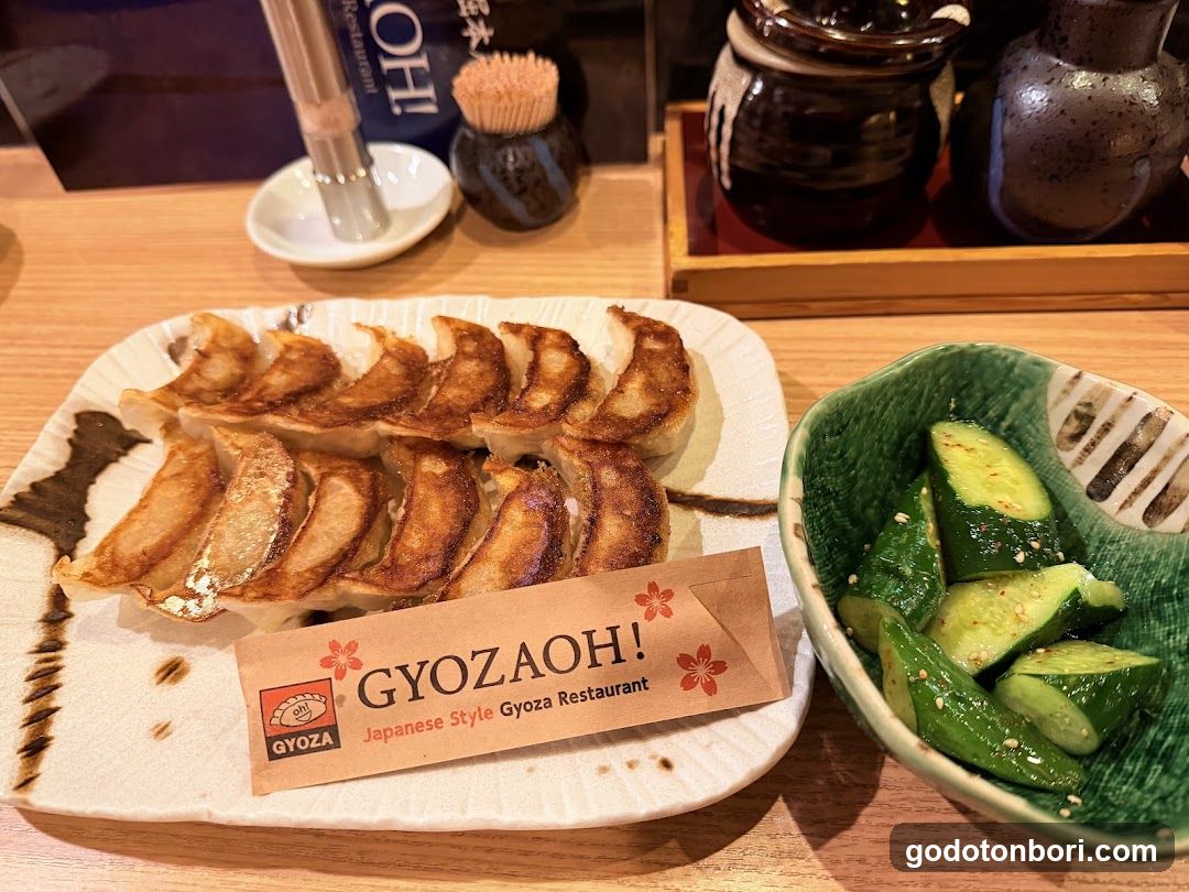 Gyoza with Cucumber Salad