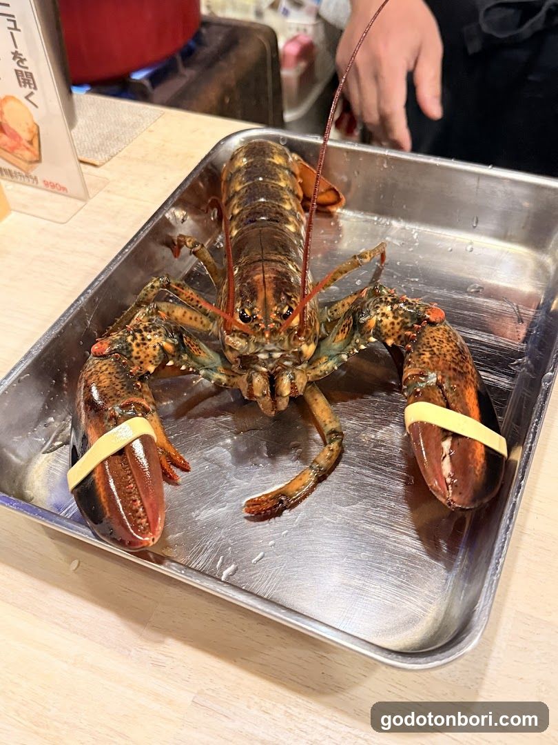 Shellfish,Shrimp&Crab