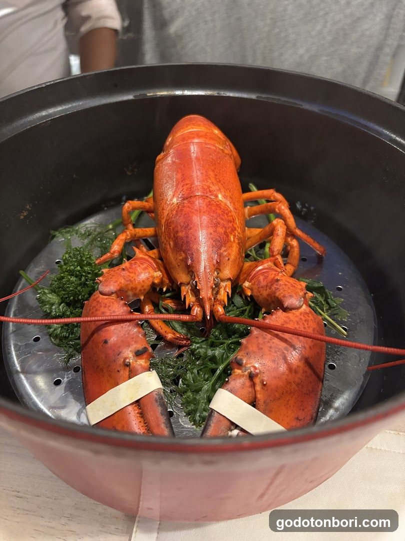 Shellfish,Shrimp&Crab