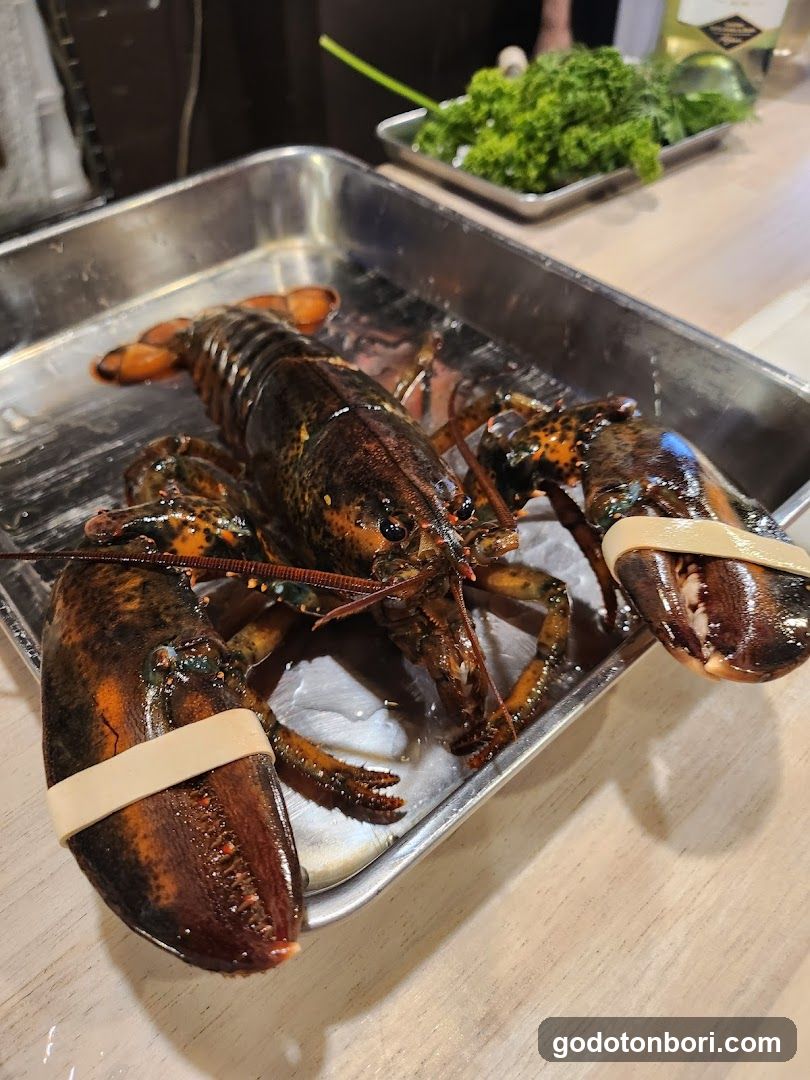 Shellfish,Shrimp&Crab