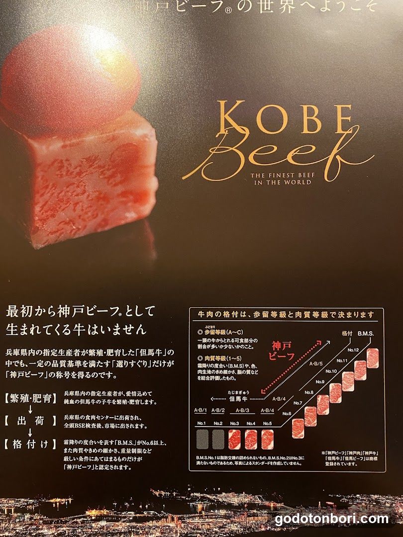 Kobe Beef Steak Ken