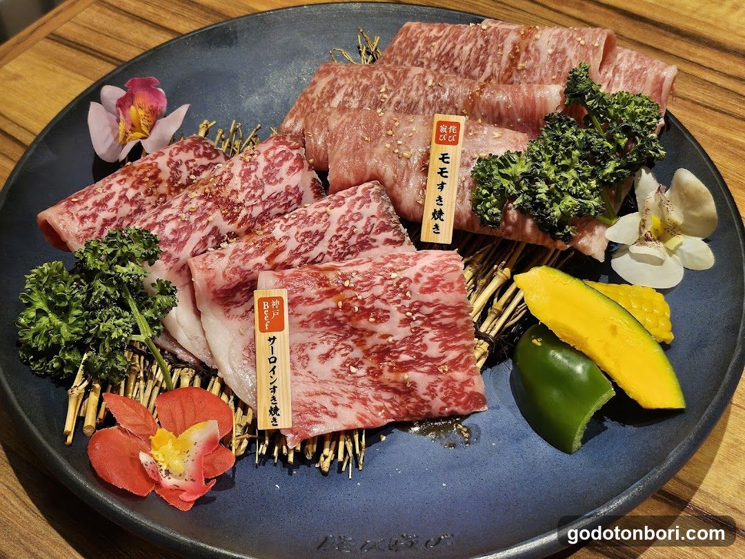 Sashimi Platter with Japanese Meat Slices
