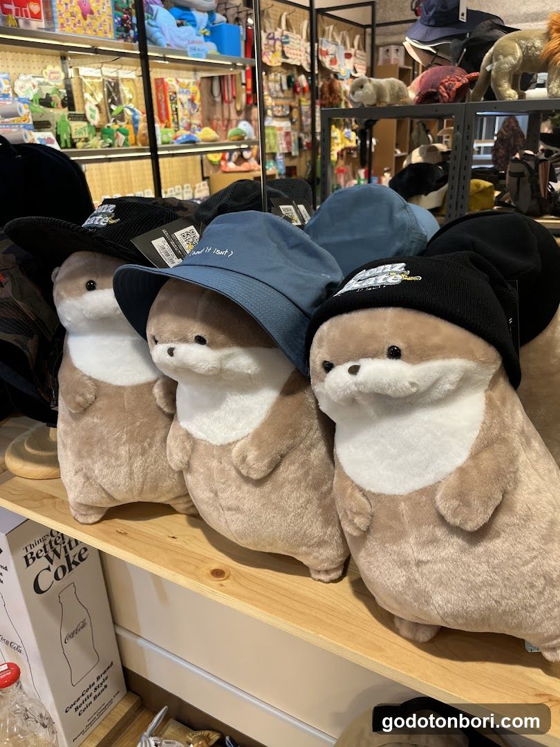メジェド 雑貨店 MJet