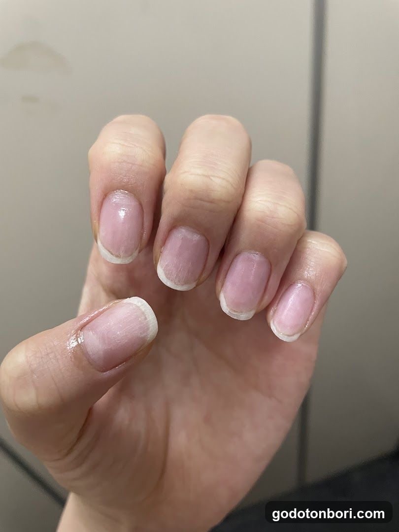 Nova Nail Namba