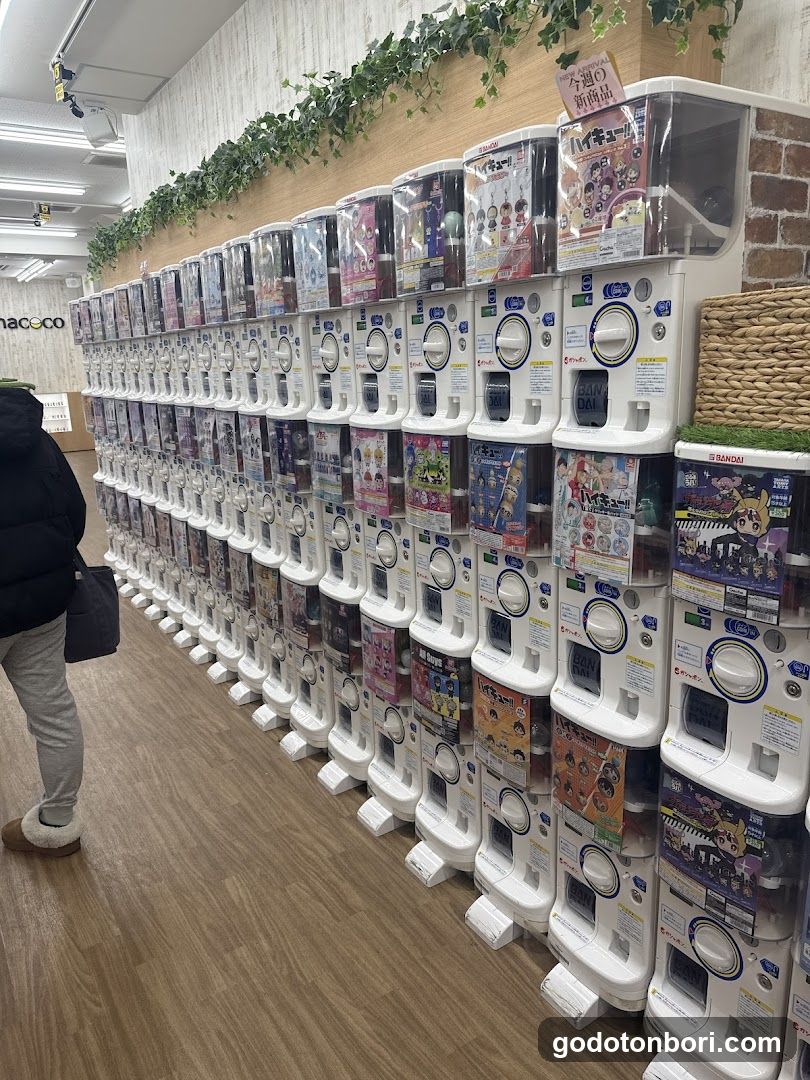 gashacoco Namba Ebisu Bashi-Suji (Capsule Toy Store)