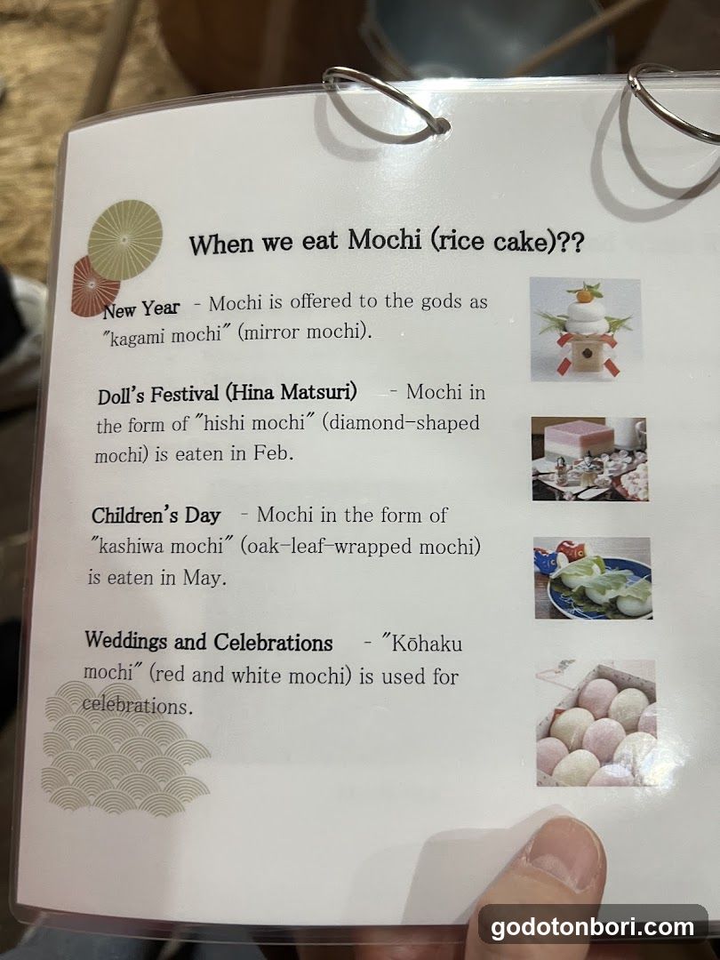 Oh Mochi