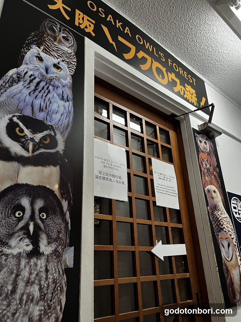 大阪フクロウの森