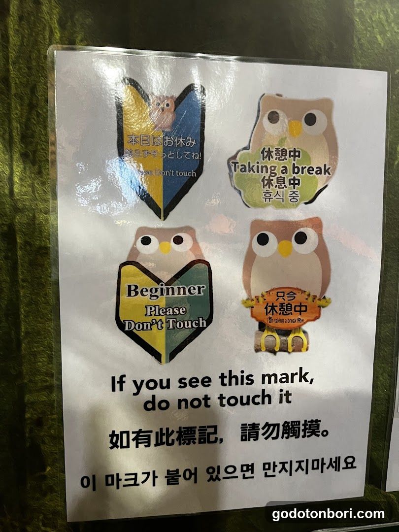 大阪フクロウの森