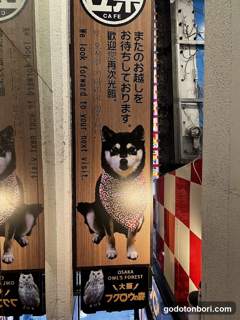大阪フクロウの森