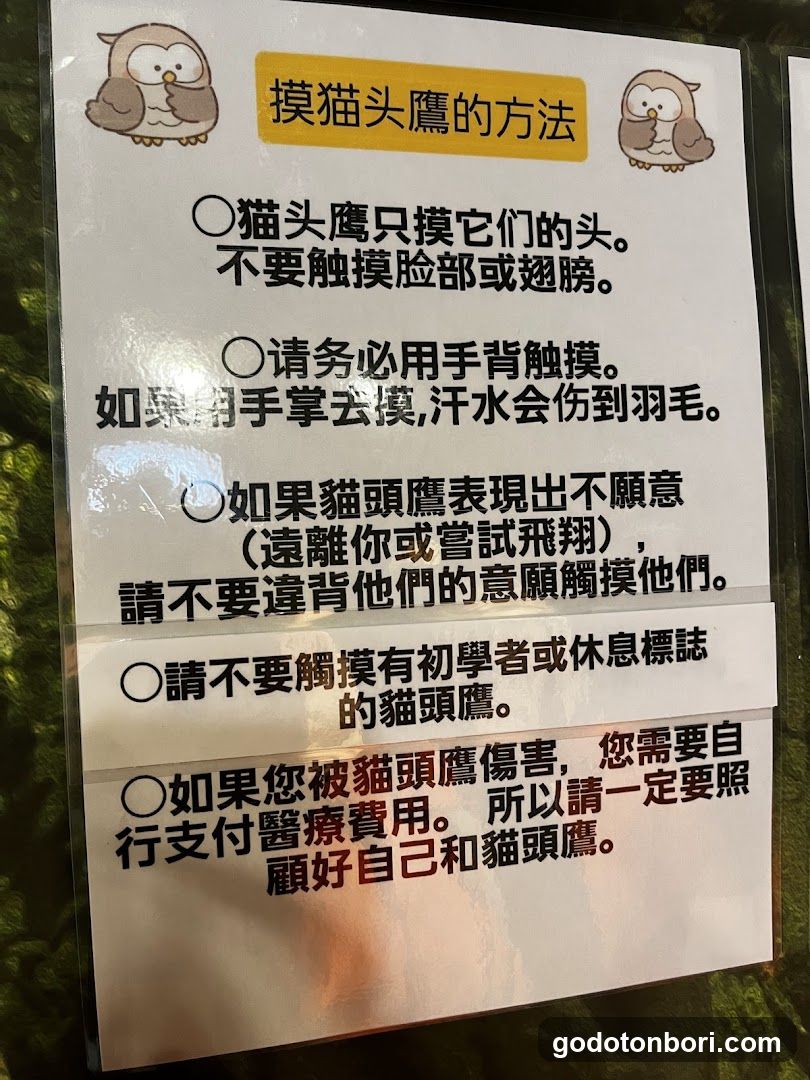大阪フクロウの森