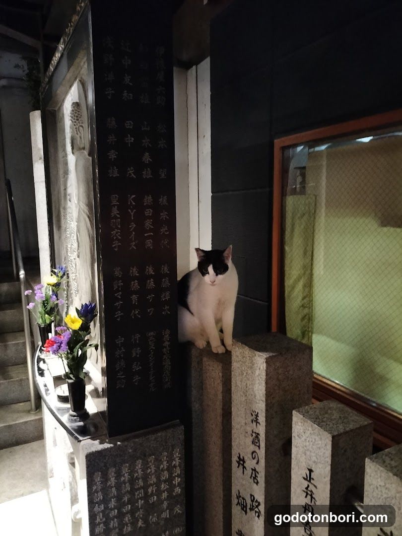 法善寺 金毘羅天王