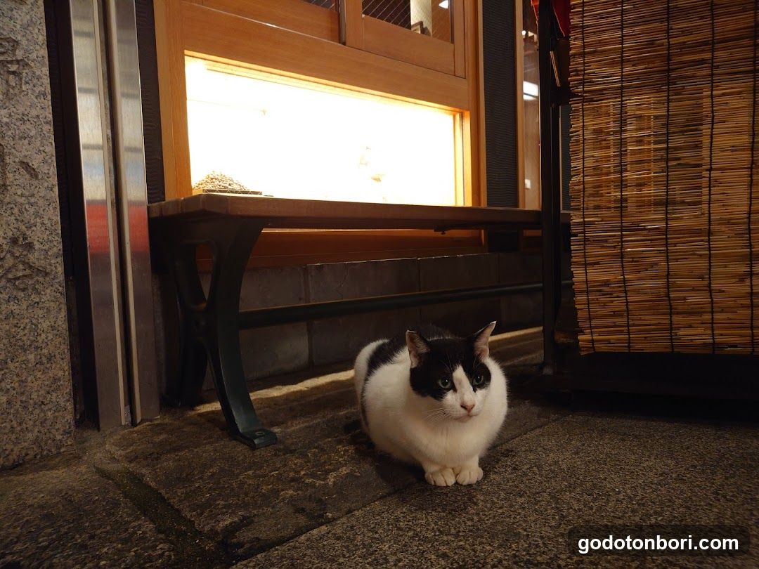法善寺 金毘羅天王