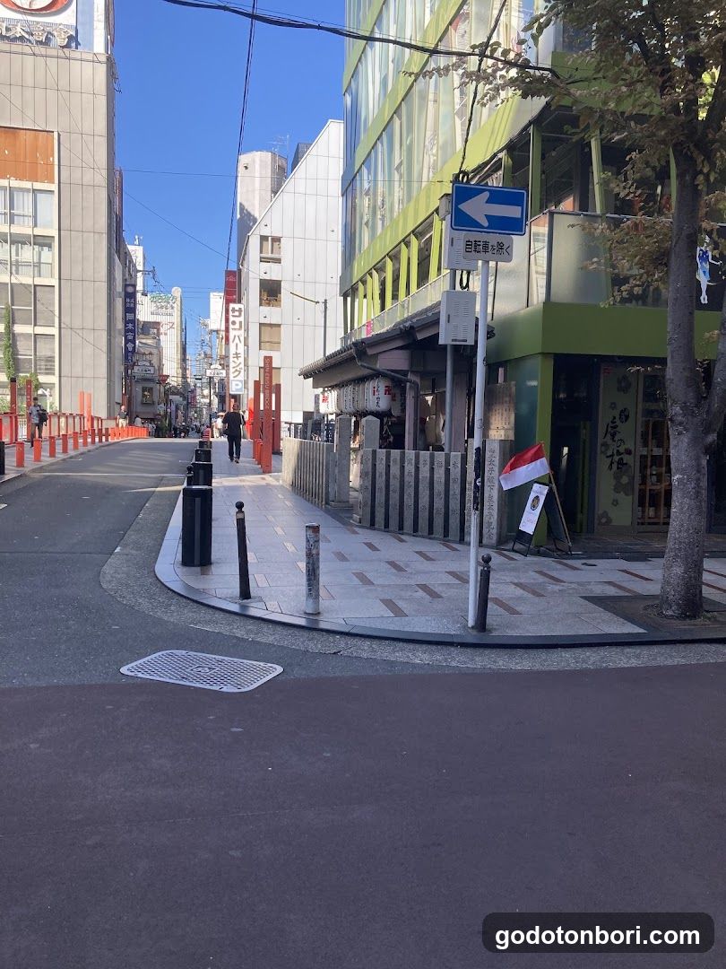 Dotonbori Shussejizoson