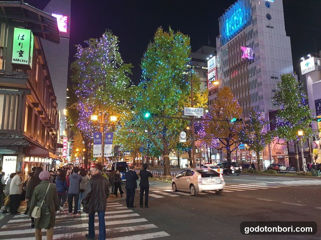 Night Street Scene with Decorated Trees