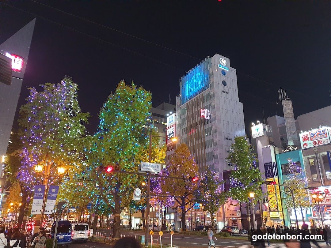 Night Street Scene with Decorated Trees