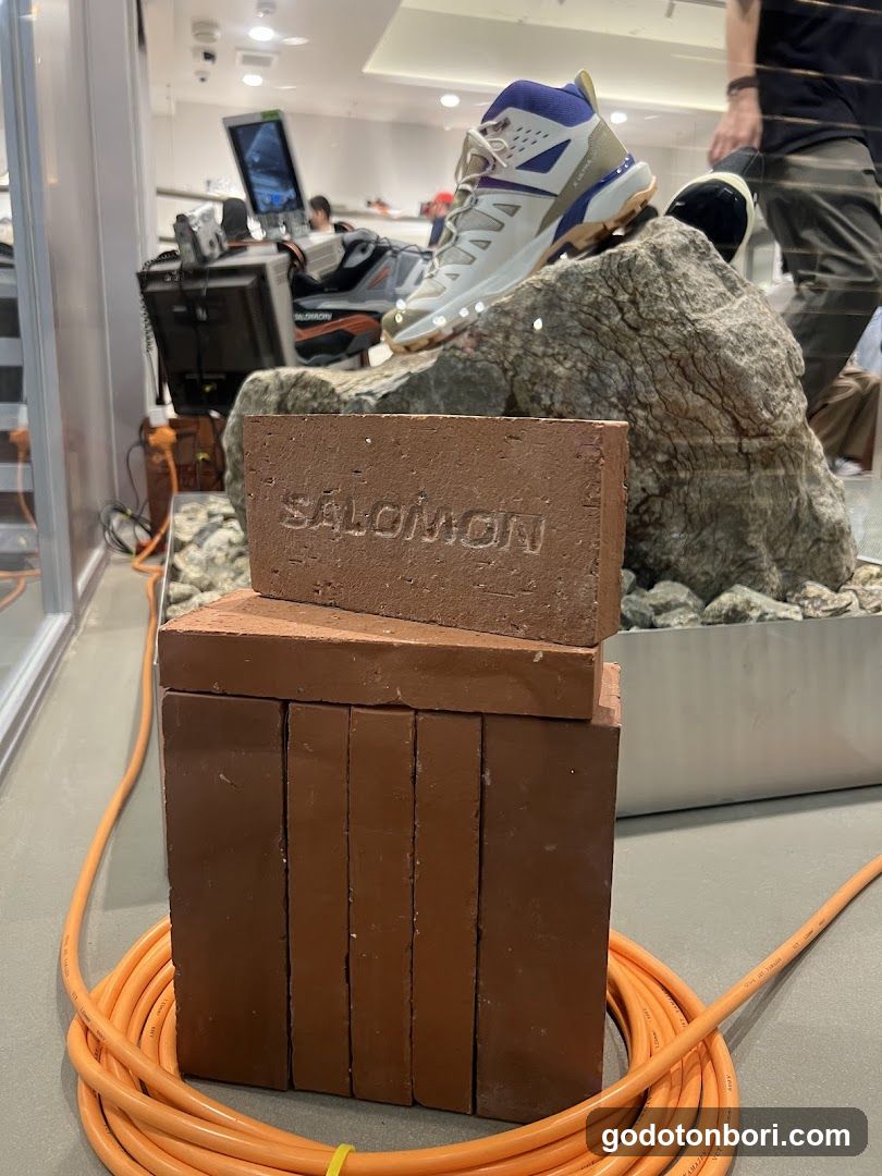 Salomon