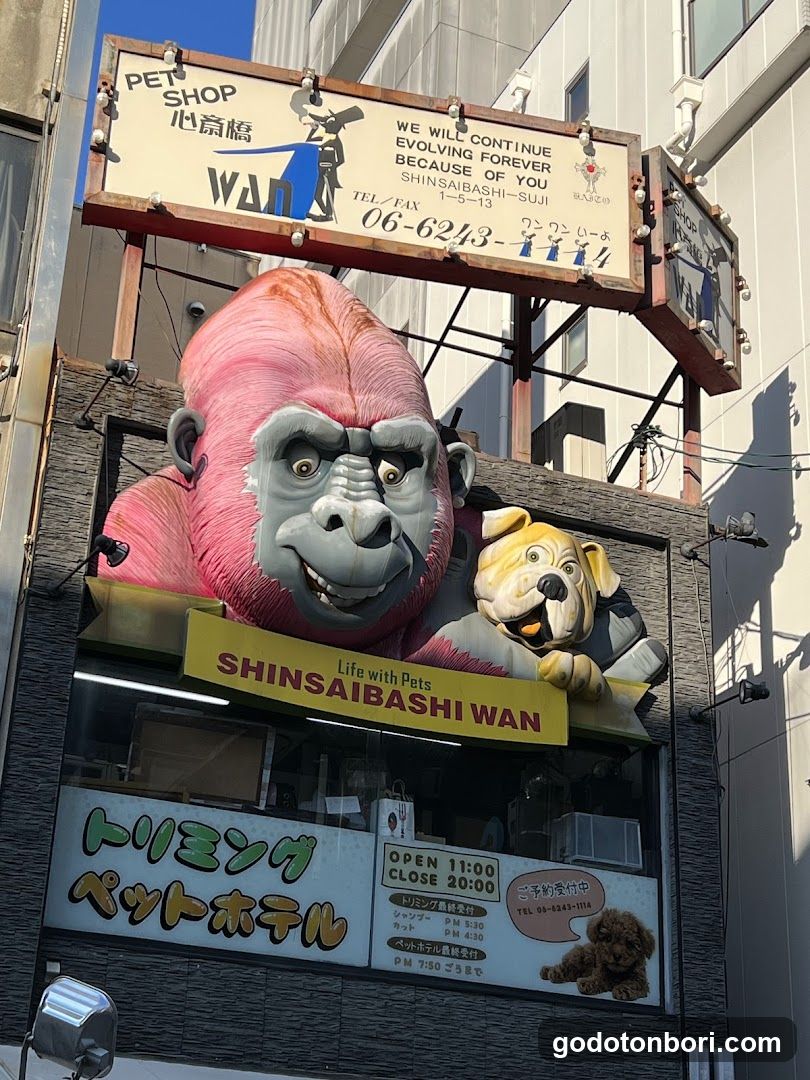 Shinsaibashi Wan