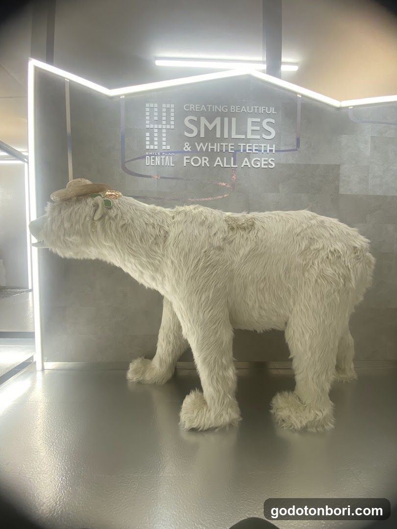 White Bear Dental Clinic Namba
