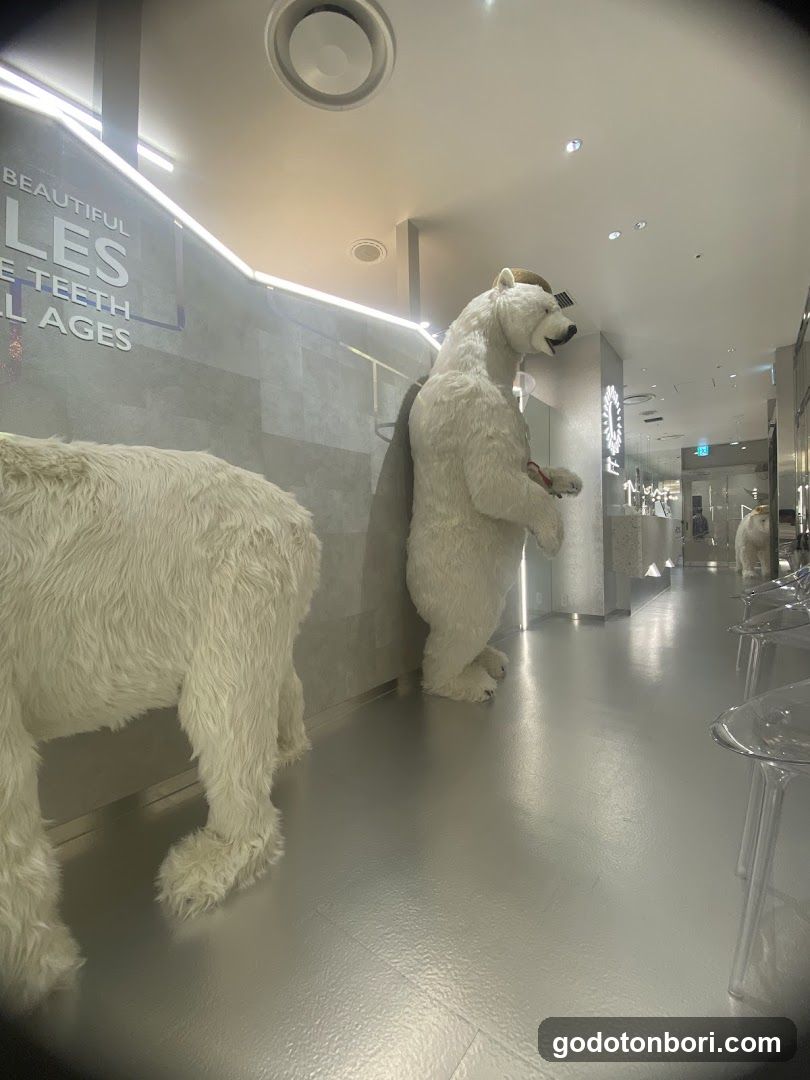 White Bear Dental Clinic Namba