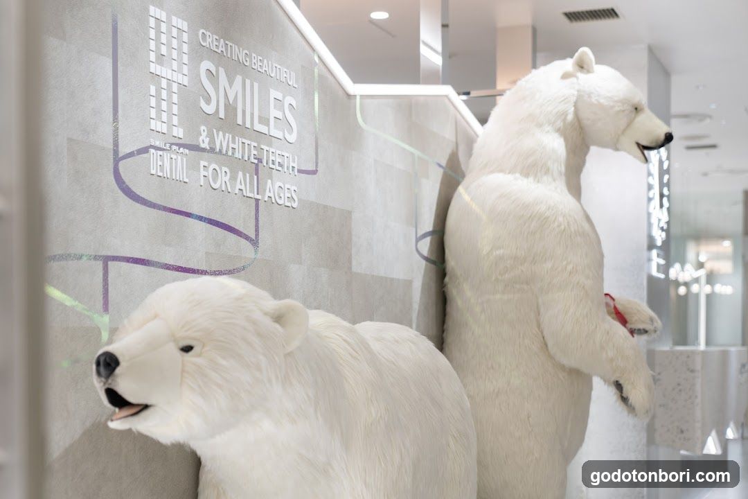 White Bear Dental Clinic Namba
