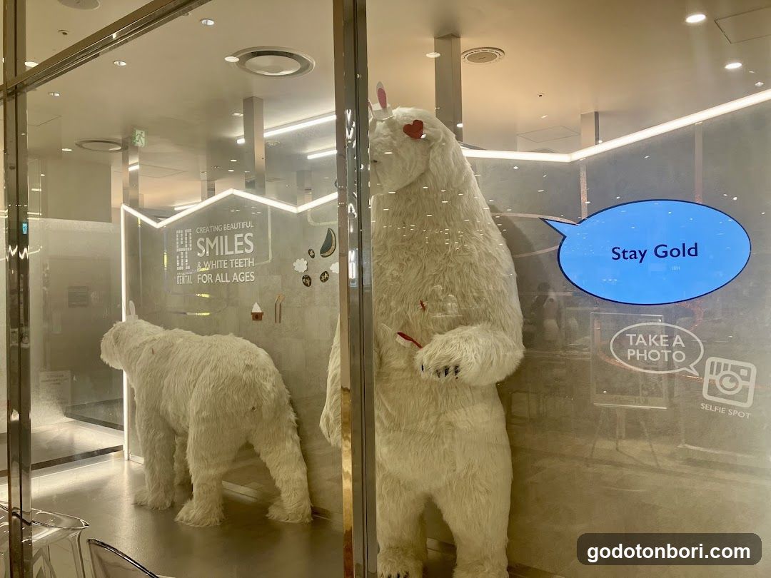 White Bear Dental Clinic Namba