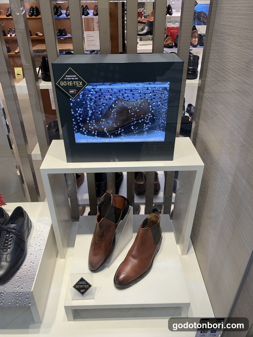 Regal Shoes