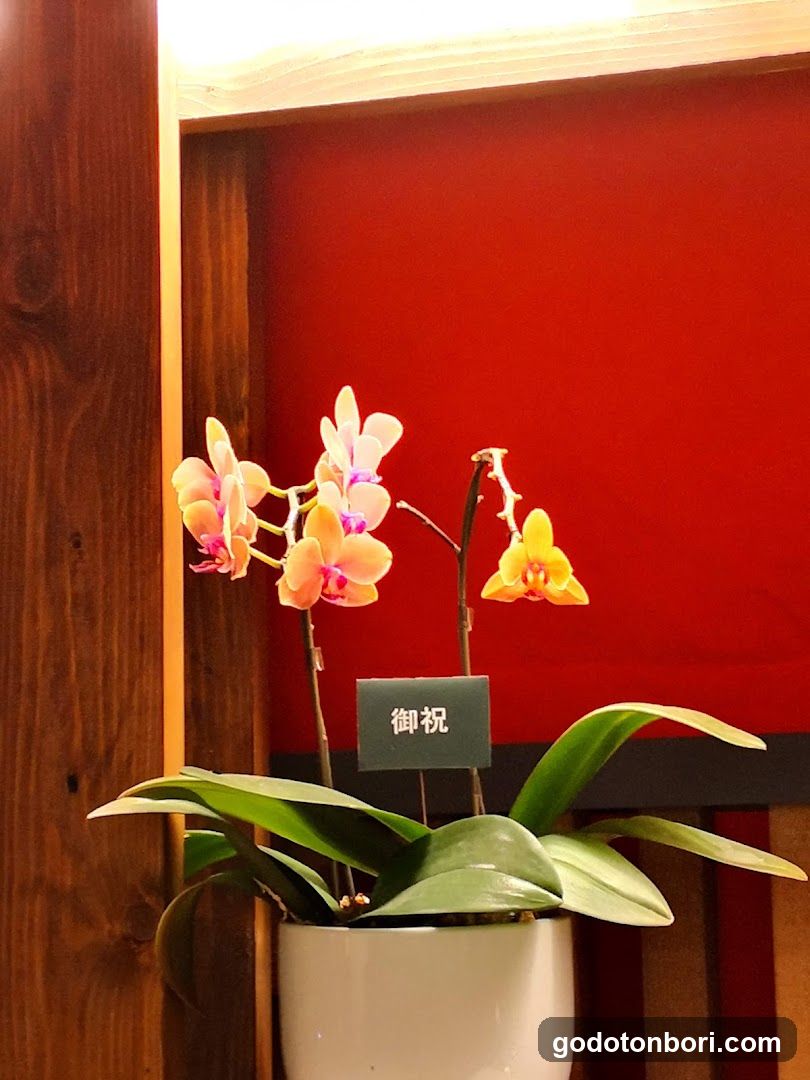 法華素食 fahua susie Oriental Sho-jin Kitchen