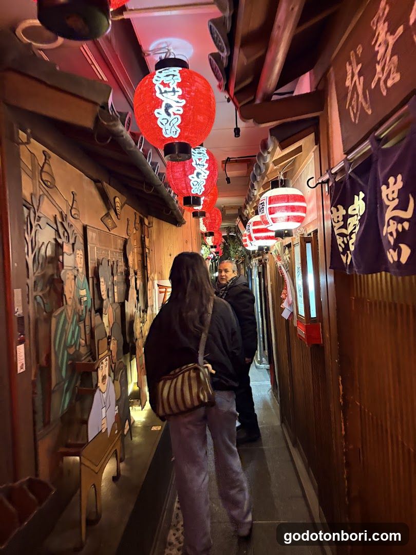 Osaka Walking Tours (Private & Group)