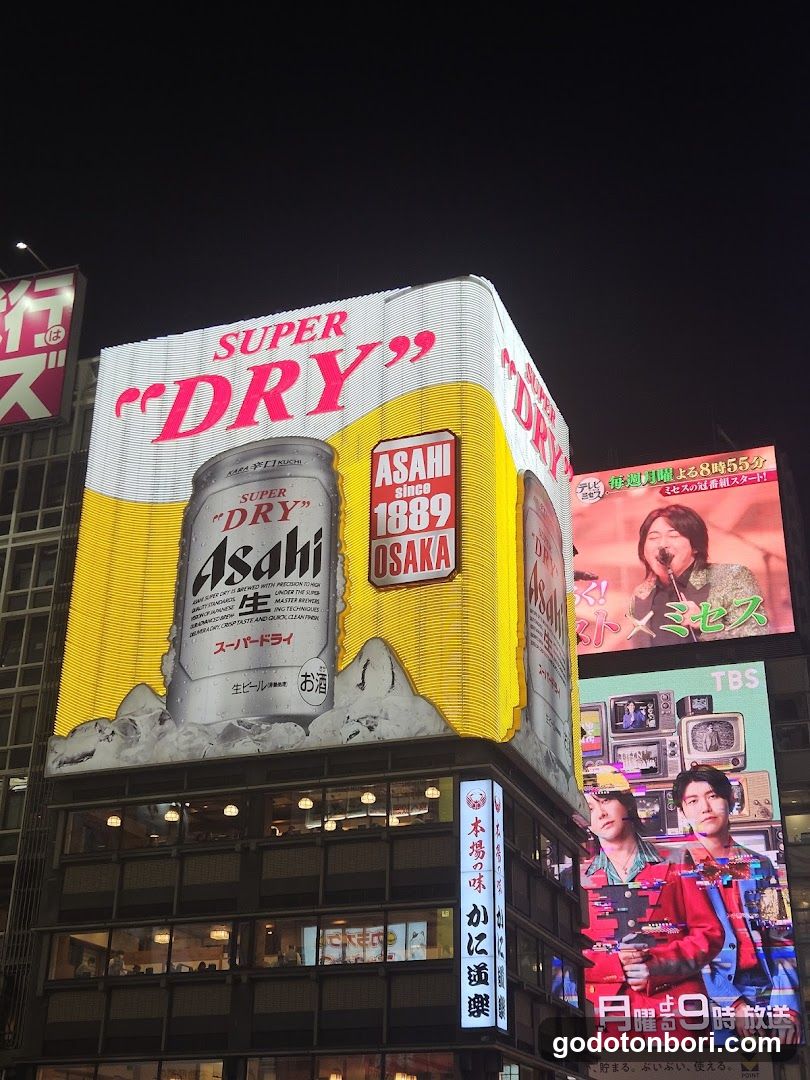 Osaka Walking Tours (Private & Group)