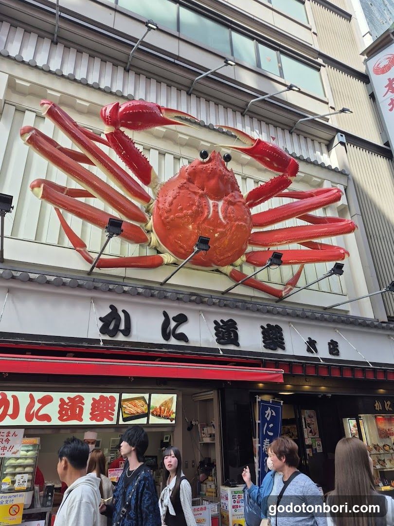 Osaka Walking Tours (Private & Group)