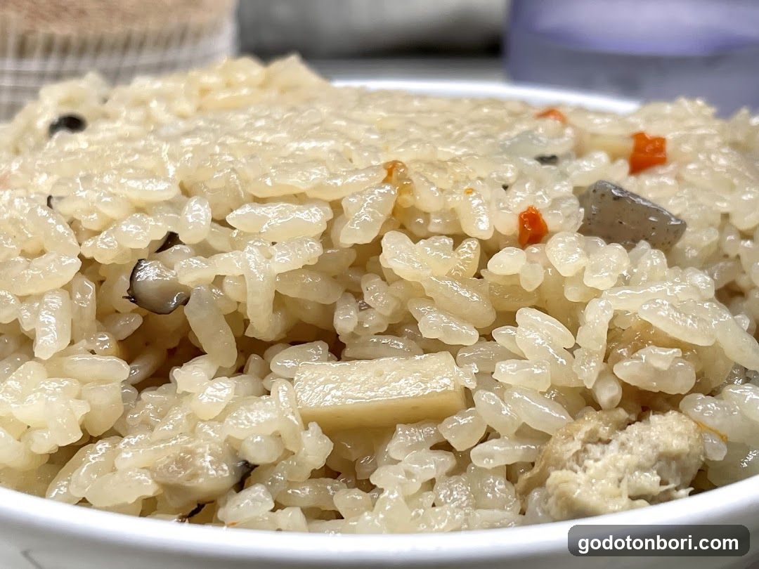 Fried Rice with Vegetables and Meat