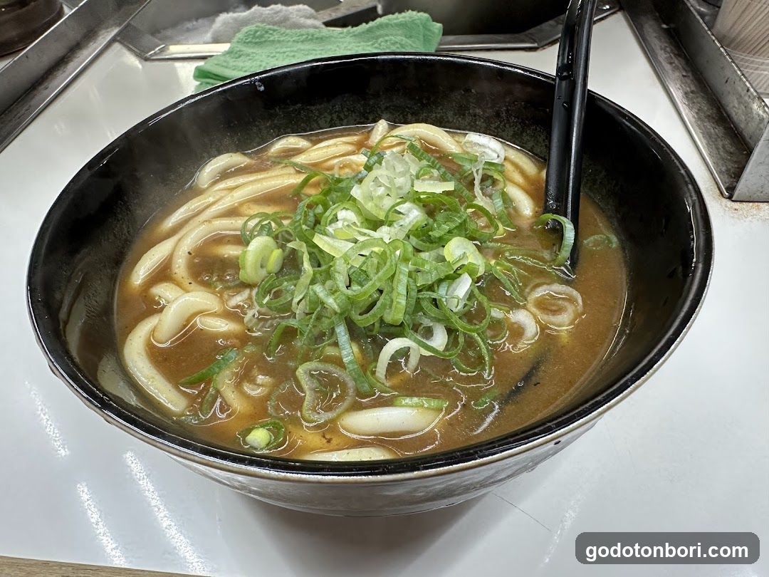 Udon Noodle Bowl with Green Onions