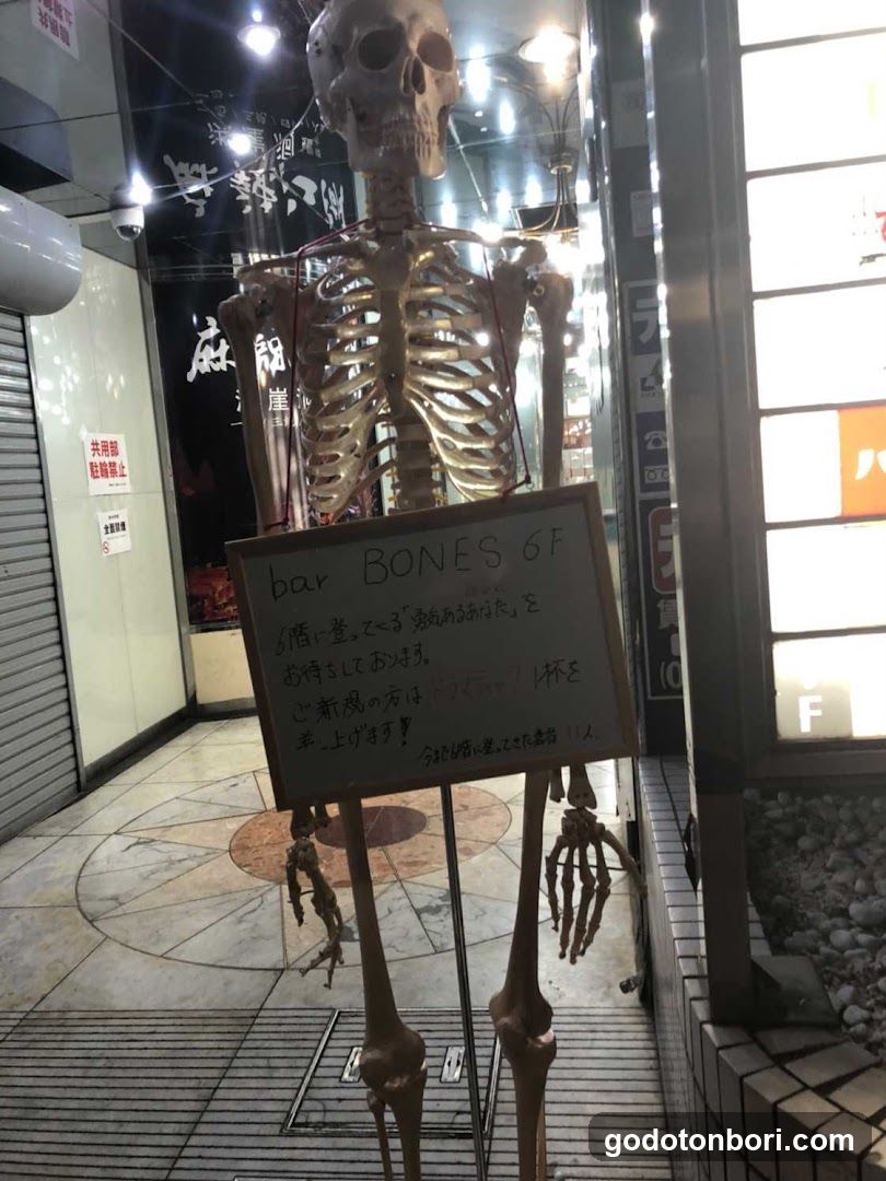 BAR BONES