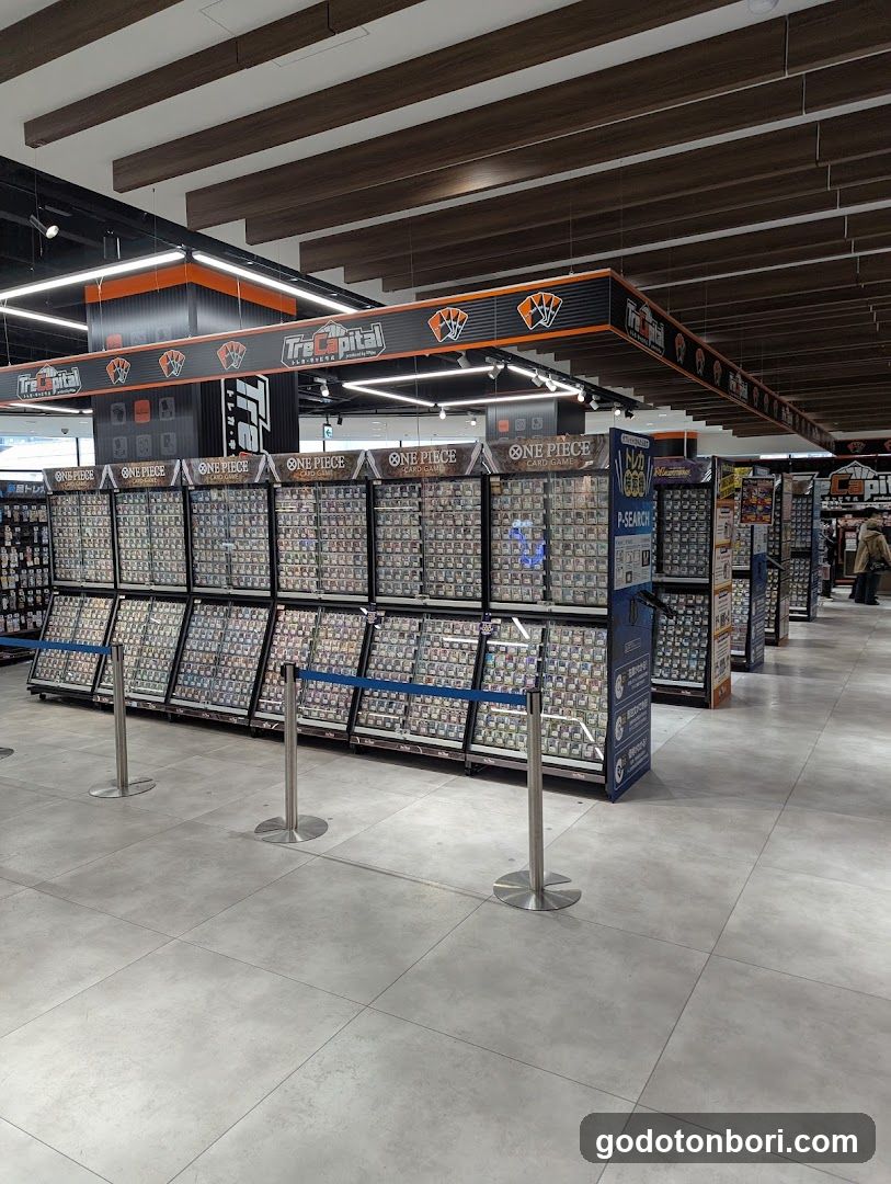 Treca Capital EDION NAMBA Main Store