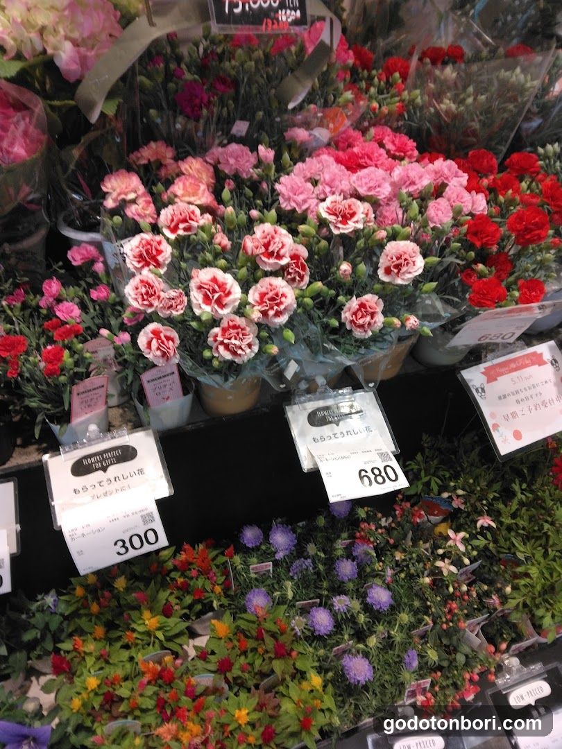 Hanajiro NAMBA Nannanmise Flower Shop