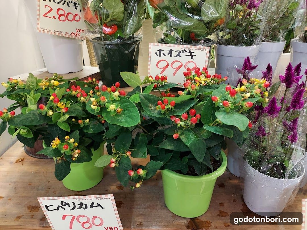Hanajiro NAMBA Nannanmise Flower Shop