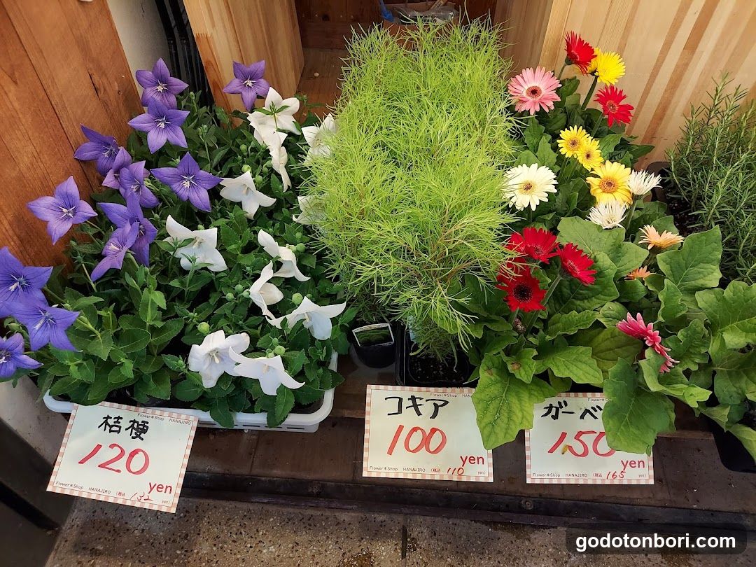 Hanajiro NAMBA Nannanmise Flower Shop