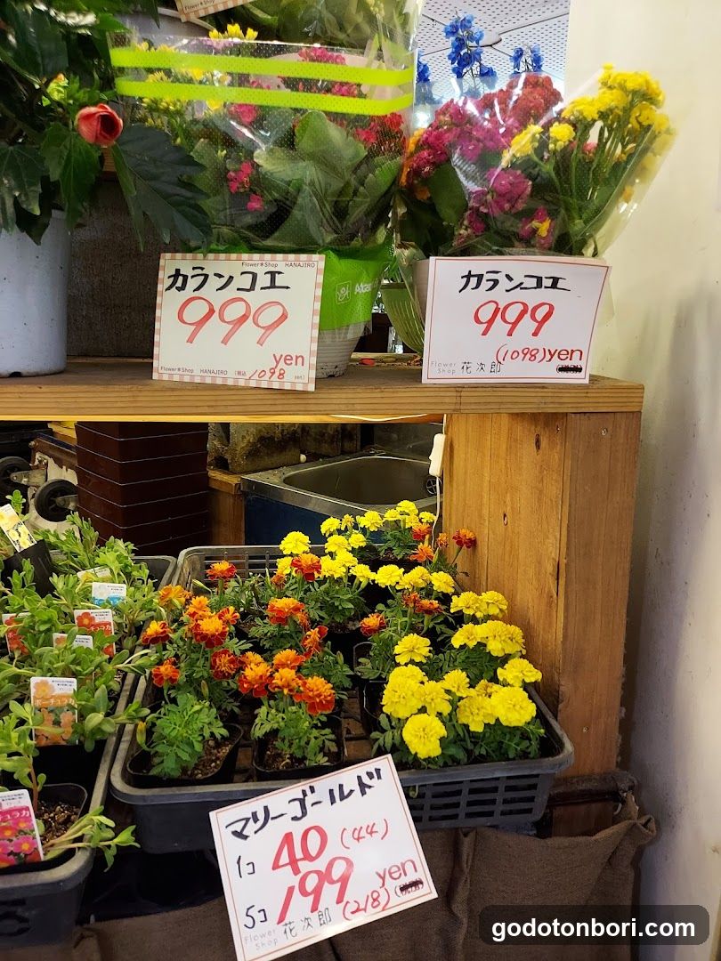 Hanajiro NAMBA Nannanmise Flower Shop
