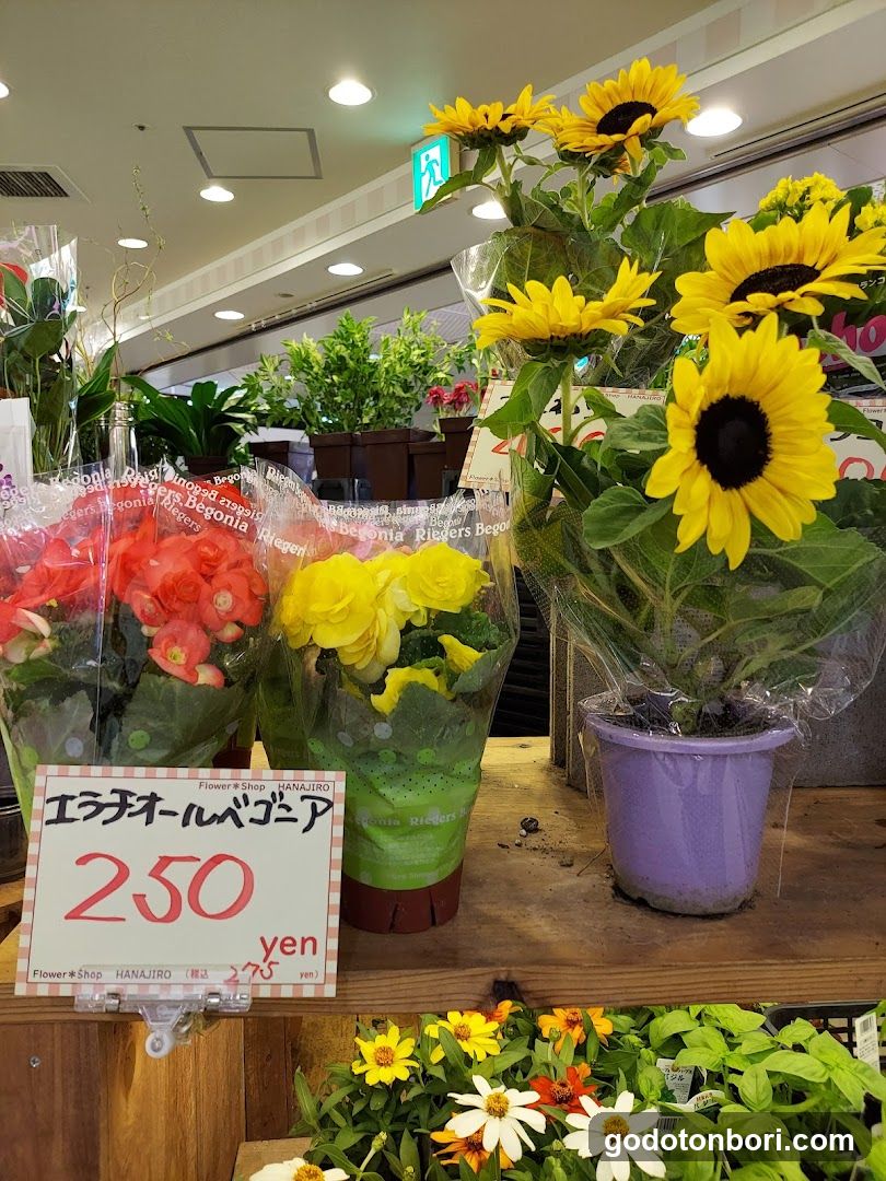 Hanajiro NAMBA Nannanmise Flower Shop