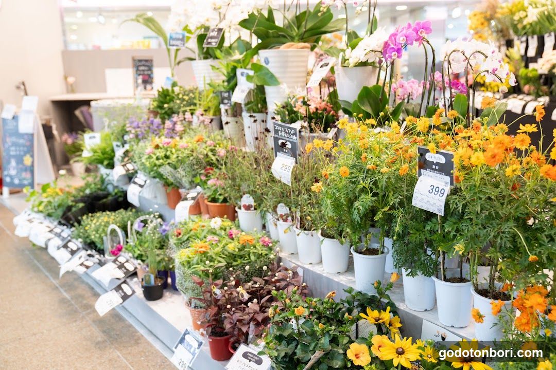 Hanajiro NAMBA Nannanmise Flower Shop
